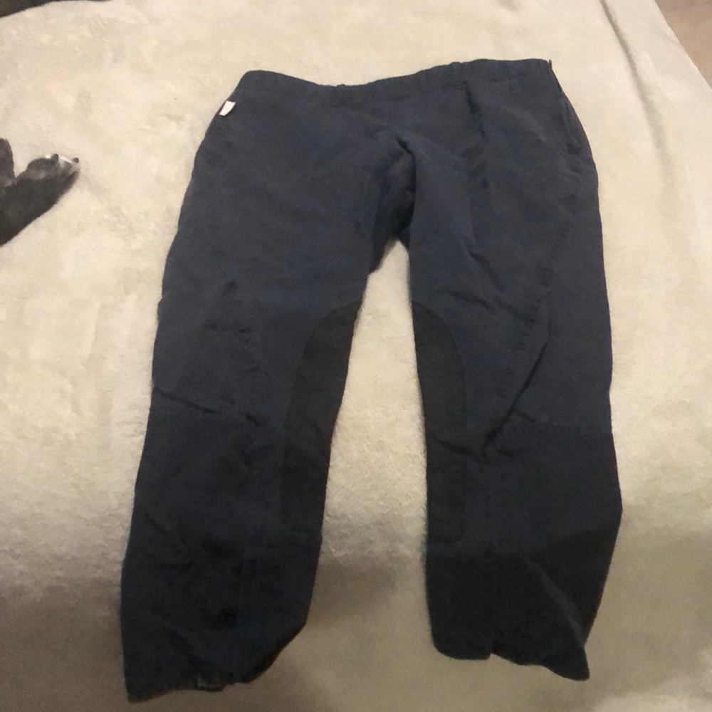 English riding britches